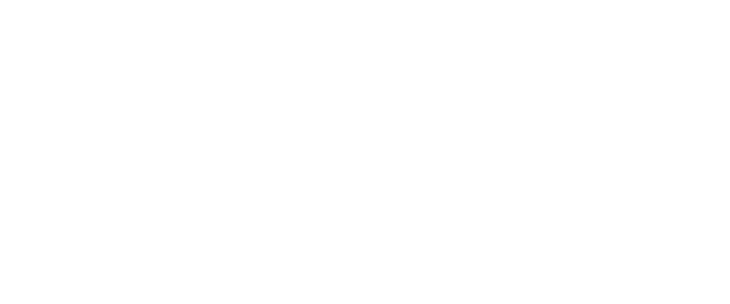 Nomura 100 Years logo